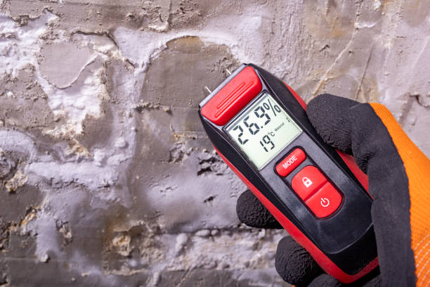 Best Mold Removal and Inspection  in Mcgaheysville, VA