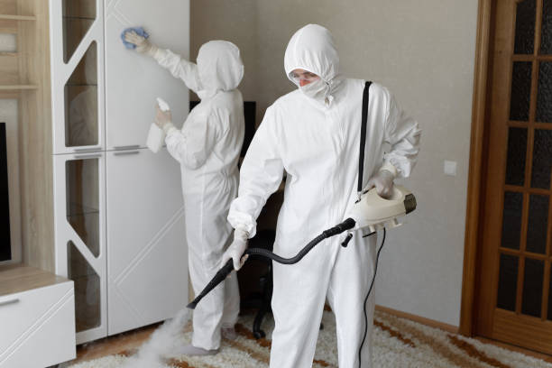 Certified Mold Removal in Mcgaheysville, VA