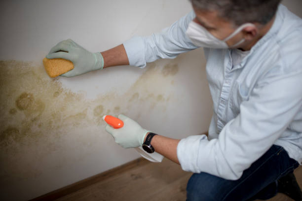Crawl Space Mold Removal in Mcgaheysville, VA