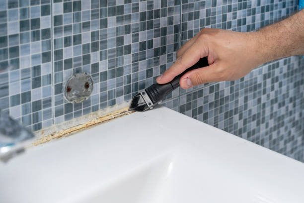 Office Mold Removal Services in Mcgaheysville, VA